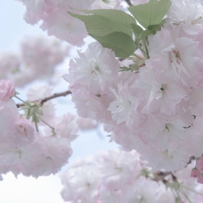 兽设线稿上色教程福瑞交流群